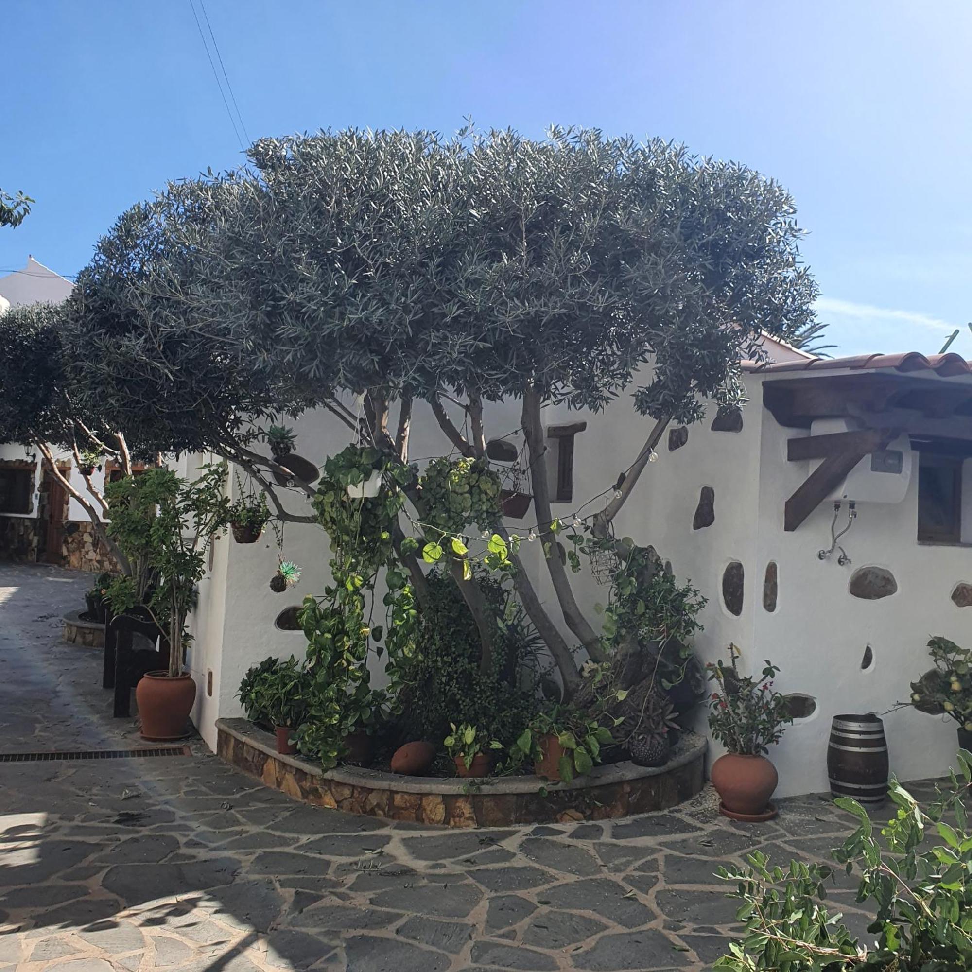 La Gallania De Papa Pepe Santa Lucia Екстериор снимка